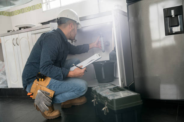 Best Local Plumber Services  in Cedar Lake, IN