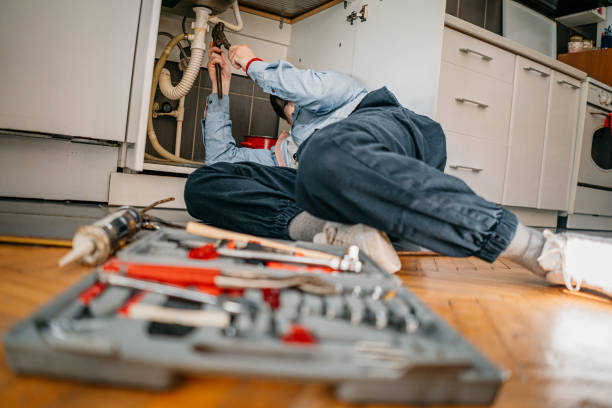 Best Commercial Plumbing Services  in Cedar Lake, IN
