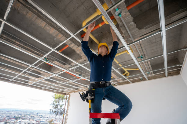 Best Same-Day Plumbing Service  in Cedar Lake, IN