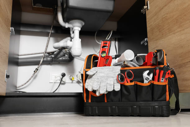 Best Plumbing Inspection Services  in Cedar Lake, IN