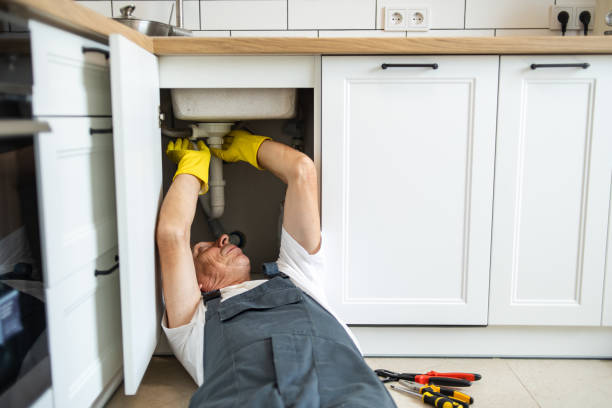 Best Toilet Repair Services  in Cedar Lake, IN