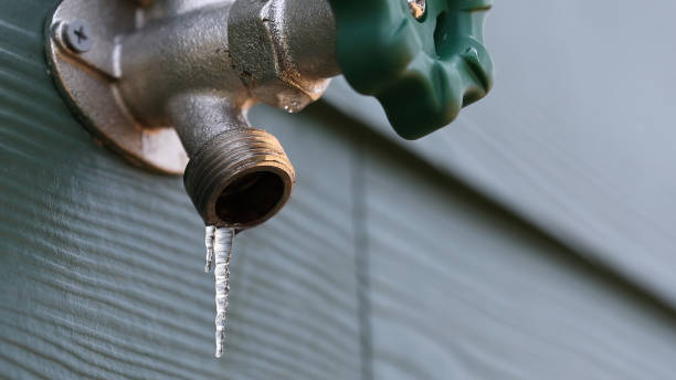 Best Plumbing Repair Near Me  in Cedar Lake, IN