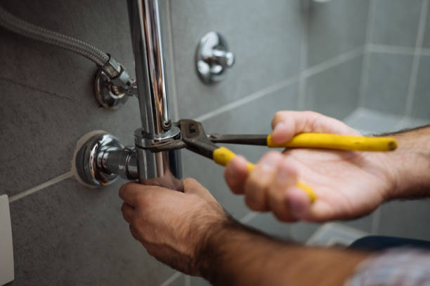 Best Plumbing Services Near Me  in Cedar Lake, IN
