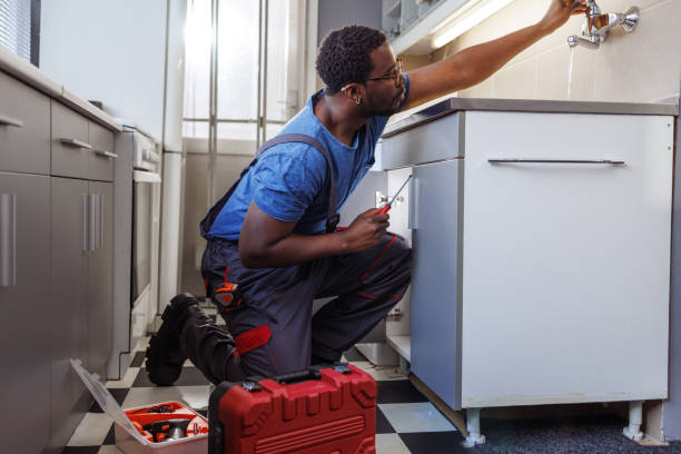Best Sprinkler Systems  in Cedar Lake, IN