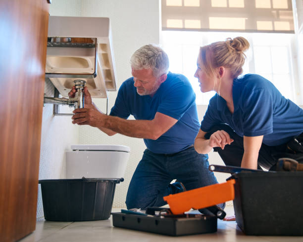 Best Water Leak Repair  in Cedar Lake, IN